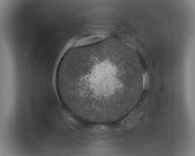 X0000111140195200907071055