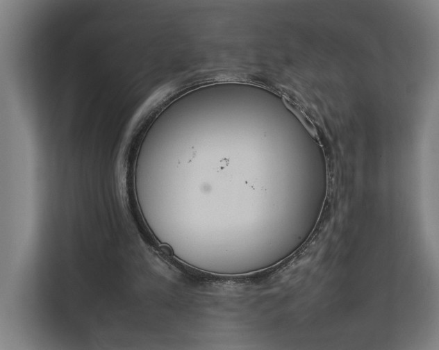 X0000111140197200907071055