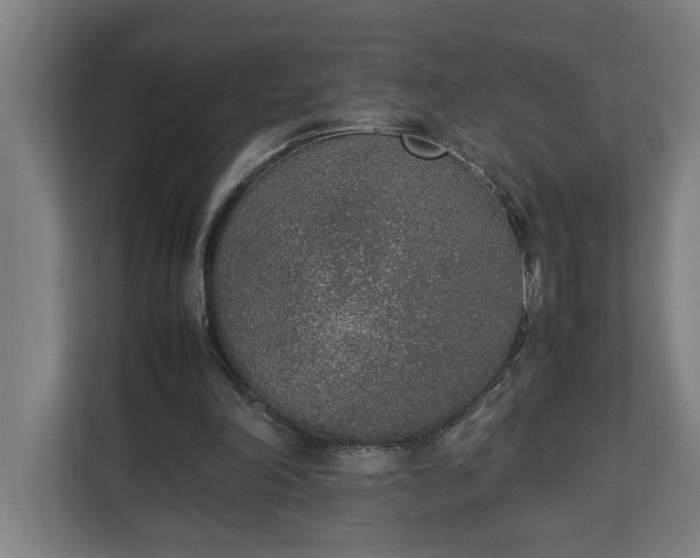 X0000111140198200907071055