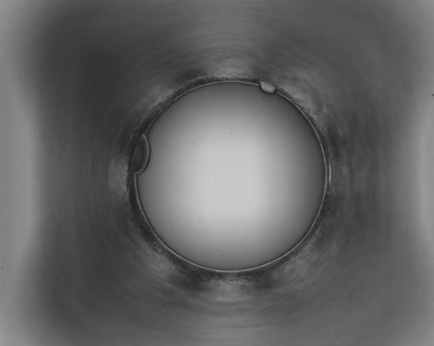 X0000111140201200907071055