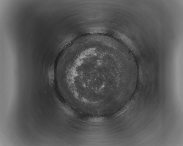 X0000111140202200907071055