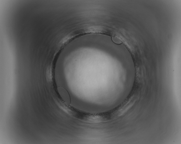 X0000111140203200907071055