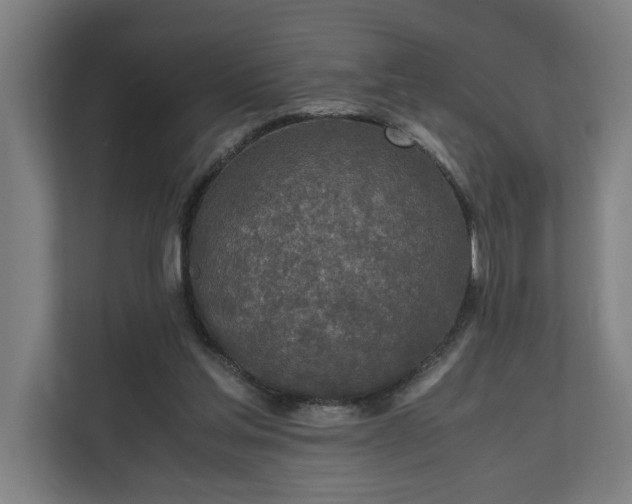 X0000111140205200907071055