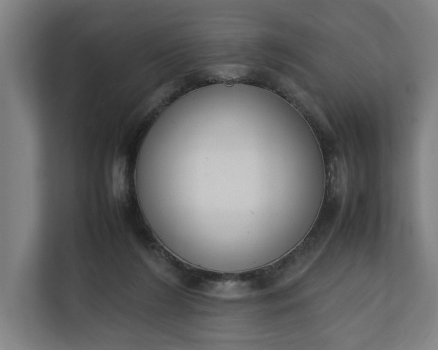 X0000111140212200907071055