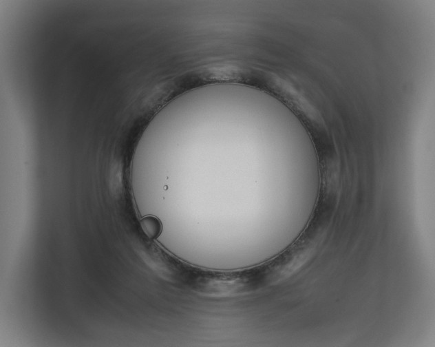 X0000111140213200907071055