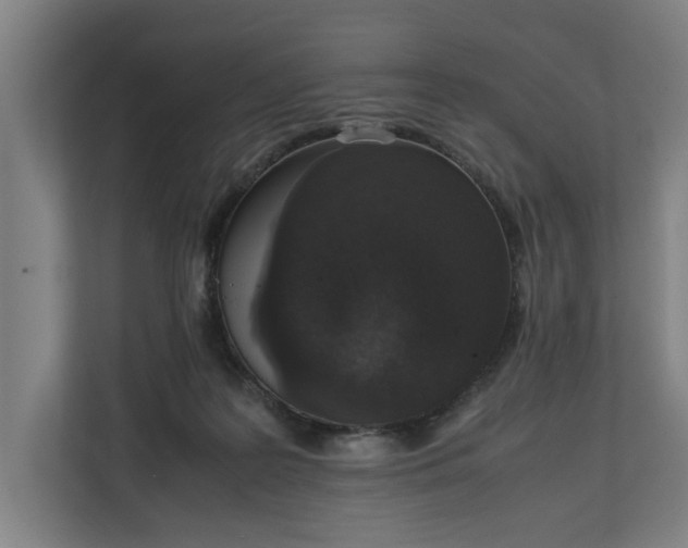 X0000111140219200907071055