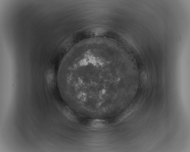 X0000111140222200907071055