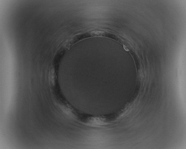 X0000111140223200907071055