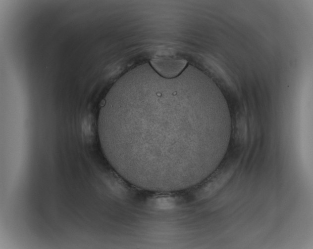 X0000111140228200907071055