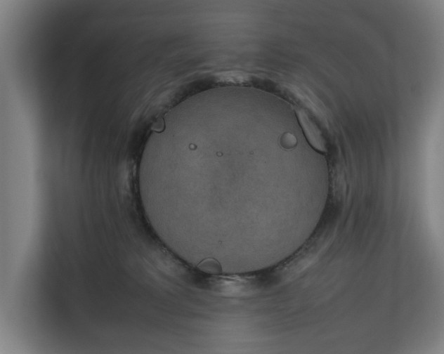 X0000111140229200907071055