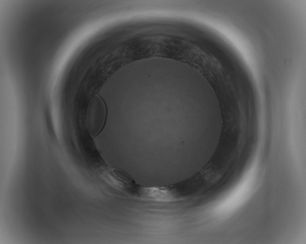 X0000111140239200907071055