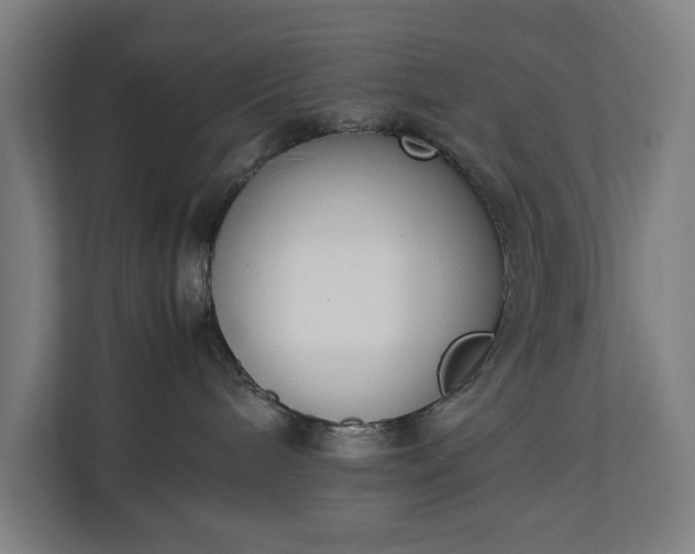 X0000111140240200907071055