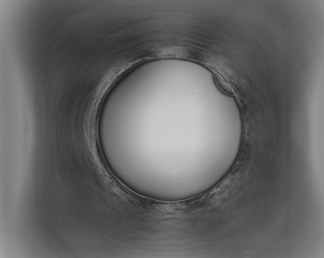 X0000111140241200907071054