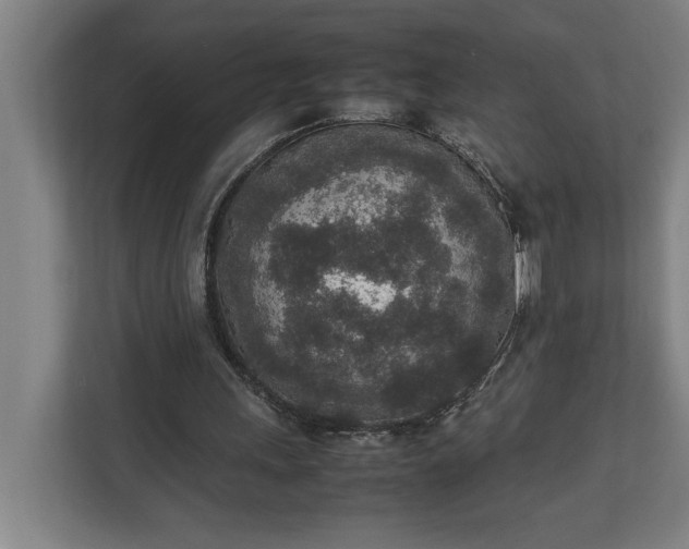 X0000111140243200907071054