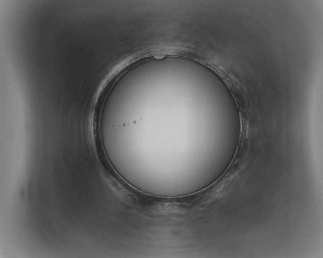 X0000111140244200907071054