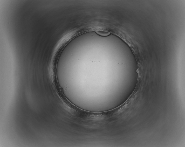 X0000111140245200907071054