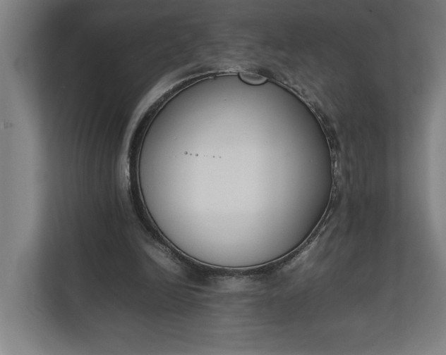 X0000111140246200907071054