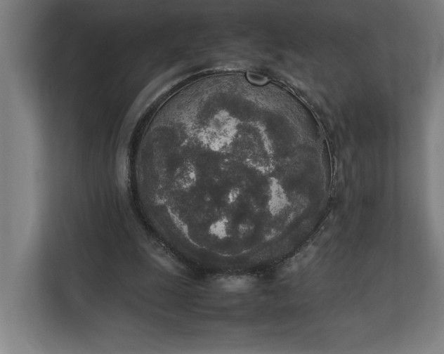 X0000111140247200907071054