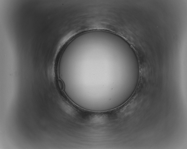 X0000111140248200907071054