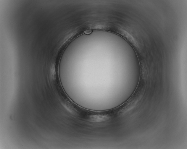 X0000111140251200907071054