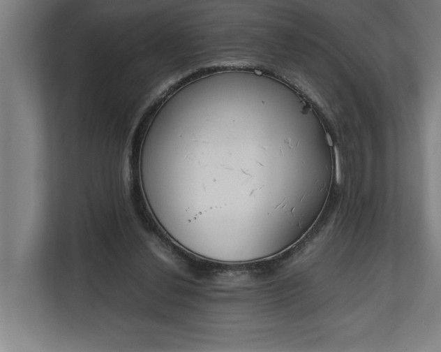 X0000111140252200907071054