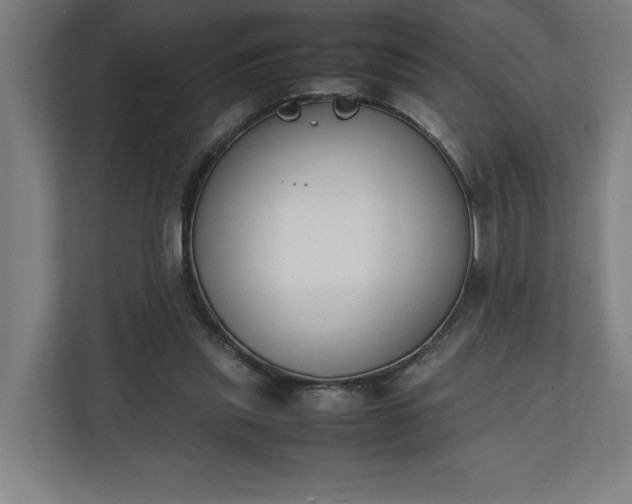 X0000111140253200907071054