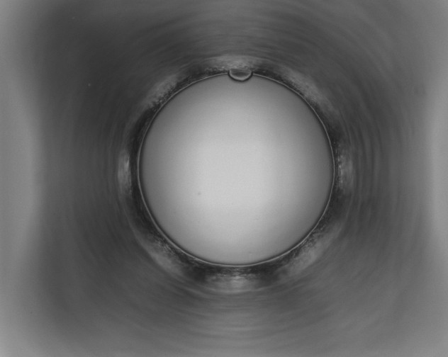 X0000111140254200907071054