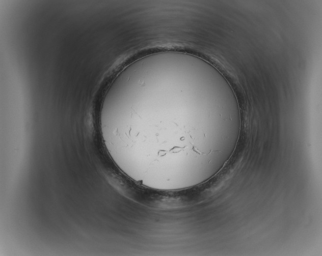 X0000111140256200907071054