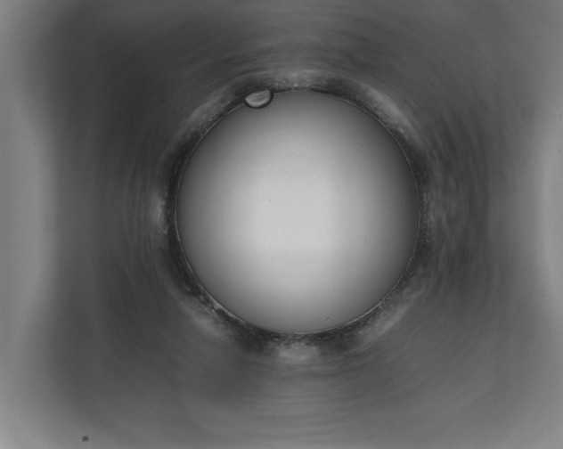 X0000111140258200907071054