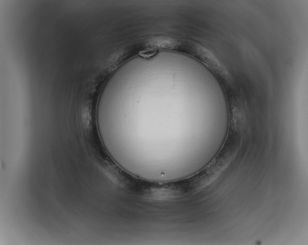 X0000111140259200907071055