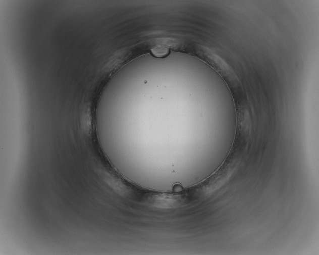 X0000111140261200907071055