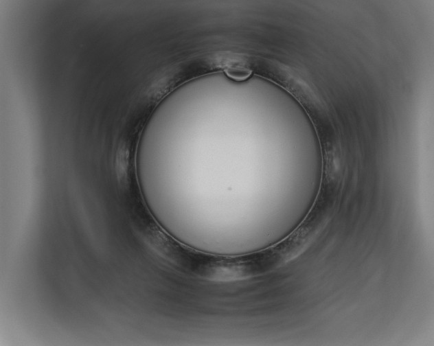 X0000111140263200907071055