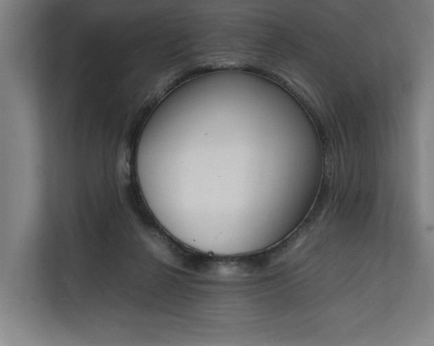 X0000111140264200907071055