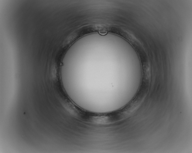 X0000111140266200907071055