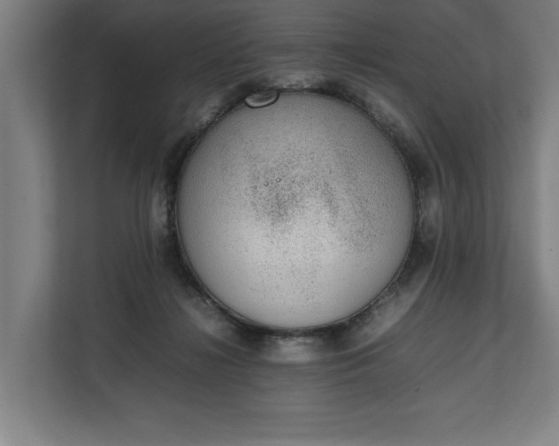 X0000111140268200907071055