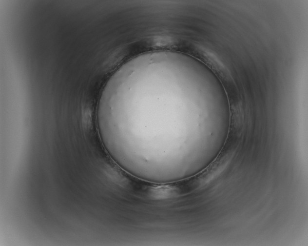 X0000111140269200907071055