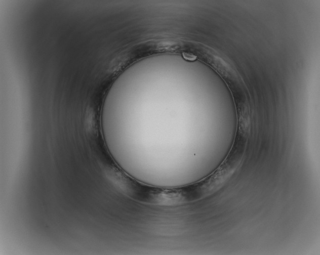 X0000111140270200907071055