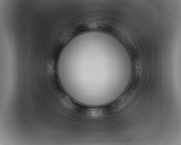 X0000111140275200907071055