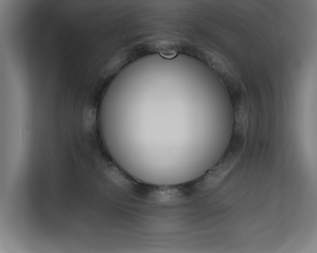 X0000111140278200907071055