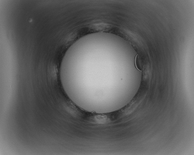 X0000111140279200907071055