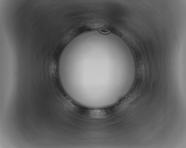 X0000111140281200907071055