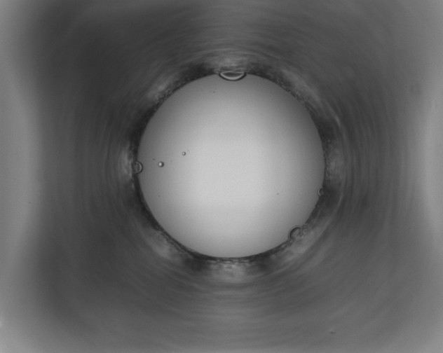 X0000111140282200907071055