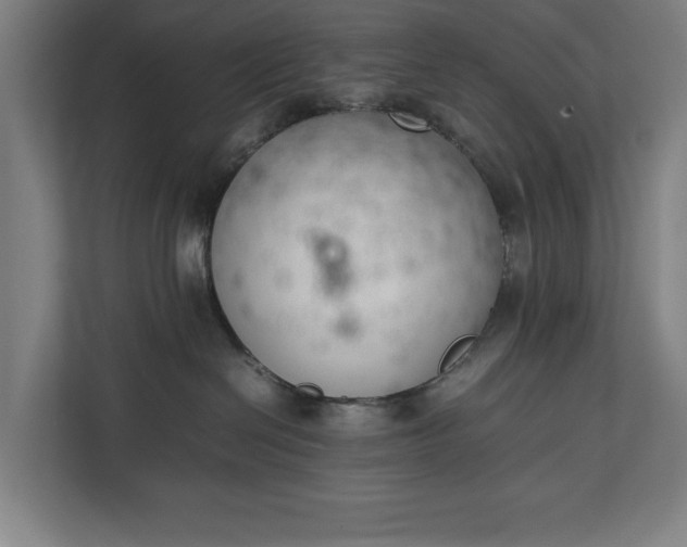 X0000111140286200907071055