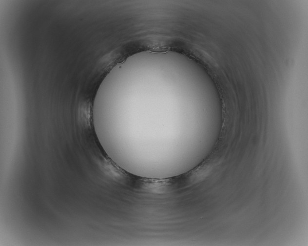 X0000111140288200907071055