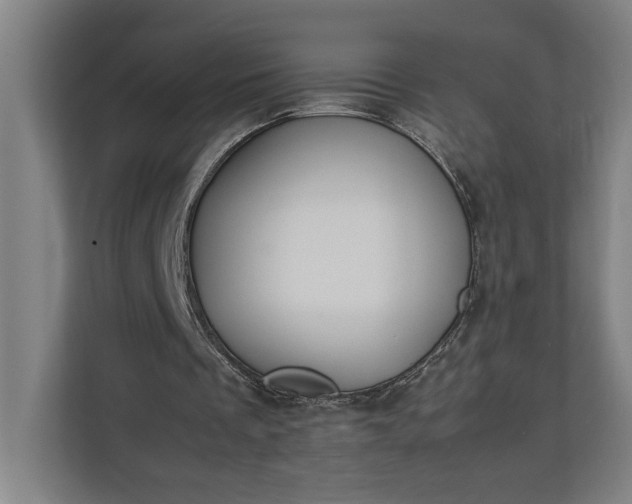 X0000111140289200907071054