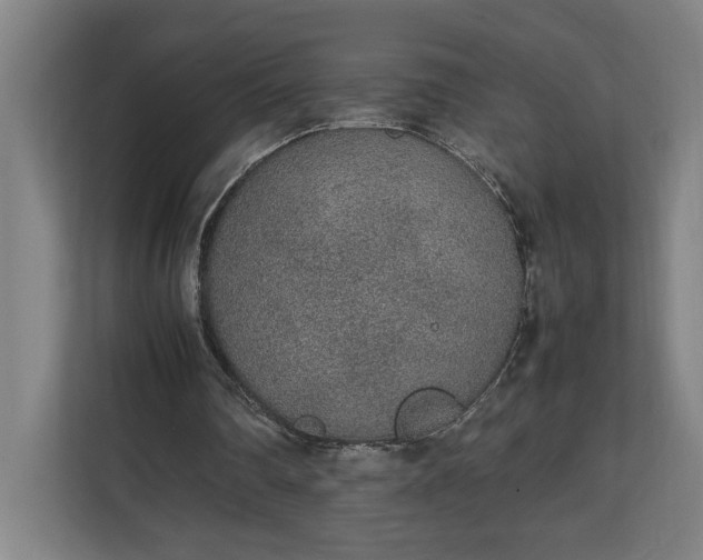 X0000111140290200907071054