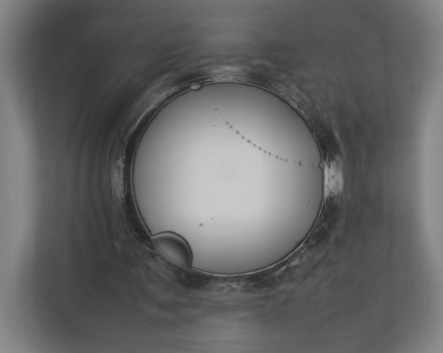 X0000111140291200907071054