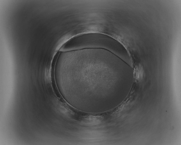 X0000111140292200907071054