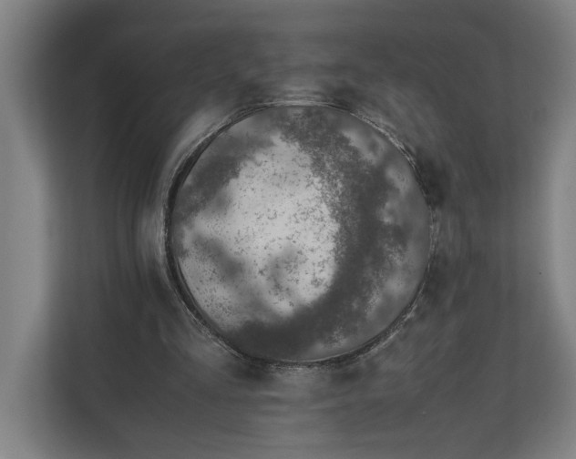 X0000111140293200907071054