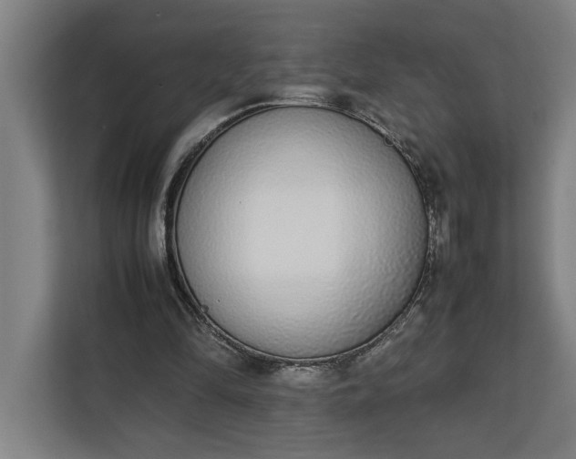 X0000111140294200907071054